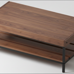 Tyto Dart solid Walnut coffee table with lower shelf, finished — 45" × 25" top, 18" tall, styled in a home interior